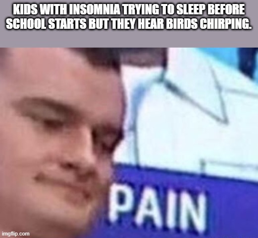 Russian Badger pain meme. | KIDS WITH INSOMNIA TRYING TO SLEEP BEFORE SCHOOL STARTS BUT THEY HEAR BIRDS CHIRPING. | image tagged in funny | made w/ Imgflip meme maker