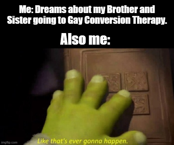 Like that's ever gonna happen. | Me: Dreams about my Brother and Sister going to Gay Conversion Therapy. Also me: | image tagged in like that's ever gonna happen,lgbtq | made w/ Imgflip meme maker