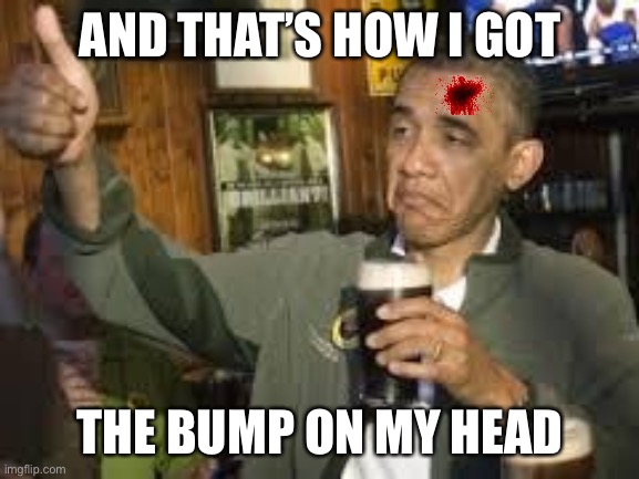 Go Home Obama, You're Drunk | AND THAT’S HOW I GOT THE BUMP ON MY HEAD | image tagged in go home obama you're drunk | made w/ Imgflip meme maker