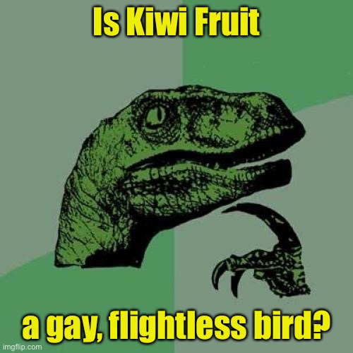 Philosoraptor | Is Kiwi Fruit; a gay, flightless bird? | image tagged in memes,philosoraptor | made w/ Imgflip meme maker