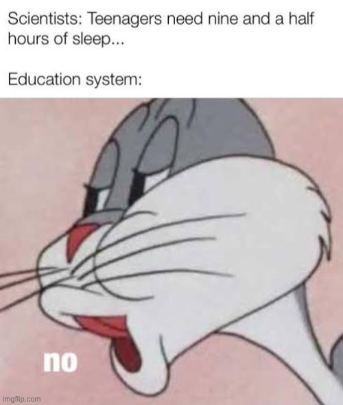 Bugs bunny no sleep | image tagged in bugs bunny no,sleep,school | made w/ Imgflip meme maker