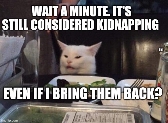 Salad cat | WAIT A MINUTE. IT'S STILL CONSIDERED KIDNAPPING; J M; EVEN IF I BRING THEM BACK? | image tagged in salad cat | made w/ Imgflip meme maker