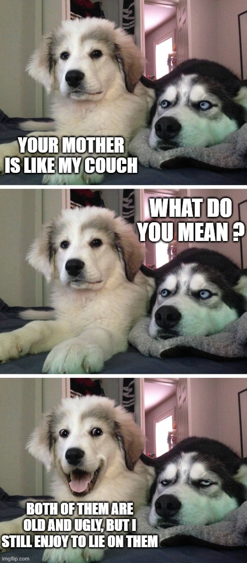 Bad pun dogs | YOUR MOTHER IS LIKE MY COUCH; WHAT DO YOU MEAN ? BOTH OF THEM ARE OLD AND UGLY, BUT I STILL ENJOY TO LIE ON THEM | image tagged in bad pun dogs,dark humor,your mom,couch,old,ugly | made w/ Imgflip meme maker