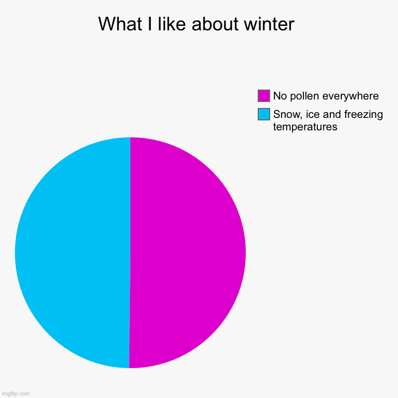 What I like about winter | What I like about winter | Snow, ice and freezing temperatures, No pollen everywhere | image tagged in charts,pie charts | made w/ Imgflip chart maker
