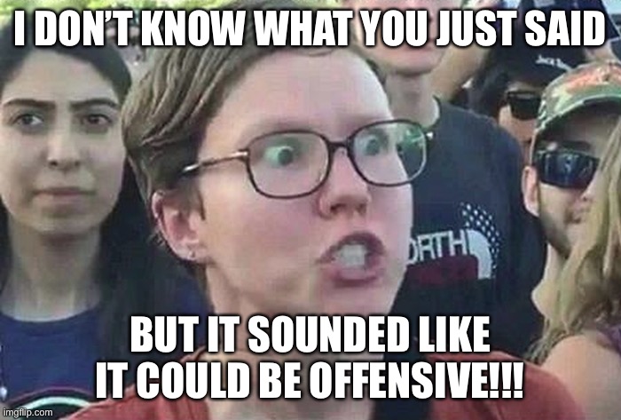 the left in a nutshell. | I DON’T KNOW WHAT YOU JUST SAID; BUT IT SOUNDED LIKE IT COULD BE OFFENSIVE!!! | image tagged in triggered liberal,funny,liberals,leftists,offended | made w/ Imgflip meme maker