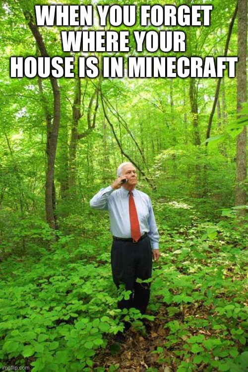 Lost |  WHEN YOU FORGET WHERE YOUR HOUSE IS IN MINECRAFT | image tagged in lost in the woods | made w/ Imgflip meme maker