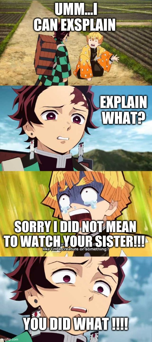 lol | UMM...I CAN EXSPLAIN; EXPLAIN WHAT? SORRY I DID NOT MEAN TO WATCH YOUR SISTER!!! YOU DID WHAT !!!! | image tagged in tanjirou and zenitsu | made w/ Imgflip meme maker