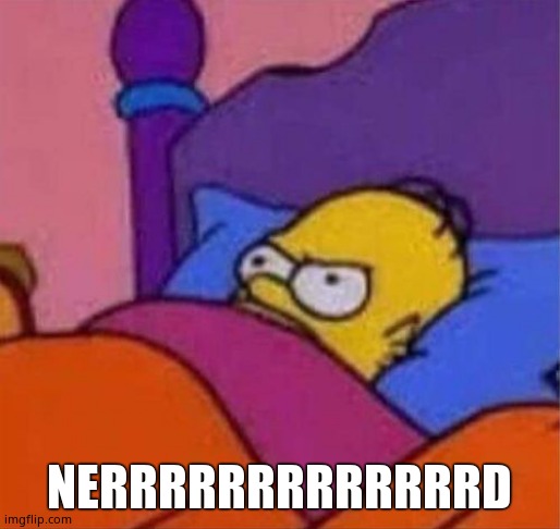 angry homer simpson in bed | NERRRRRRRRRRRRRD | image tagged in angry homer simpson in bed | made w/ Imgflip meme maker