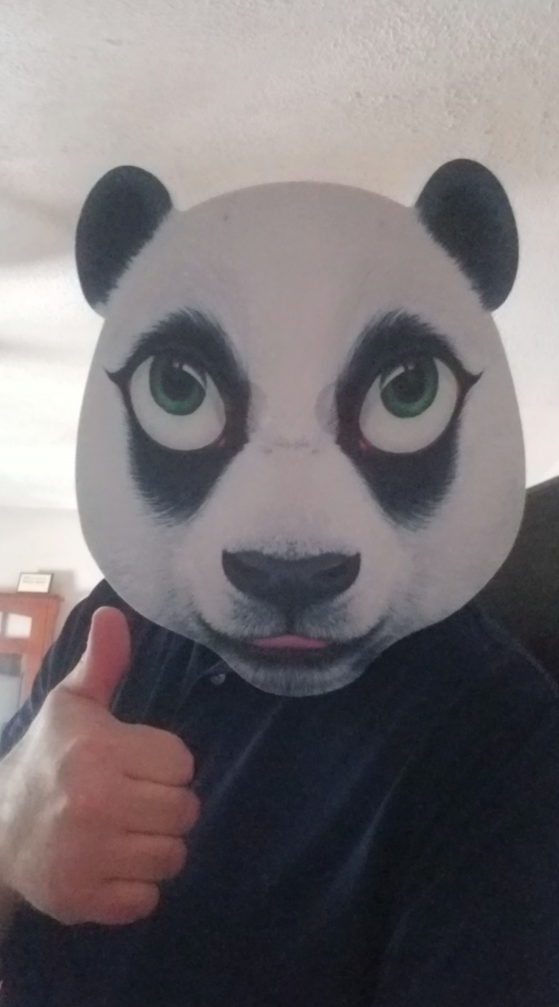 Panda Thumbs Up Blank Meme Template