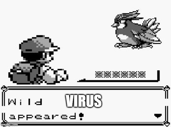 pokemon appears | VIRUS | image tagged in pokemon appears | made w/ Imgflip meme maker