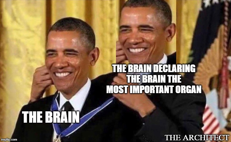 obama medal | THE BRAIN DECLARING THE BRAIN THE MOST IMPORTANT ORGAN; THE BRAIN; THE ARCHITECT | image tagged in obama medal | made w/ Imgflip meme maker