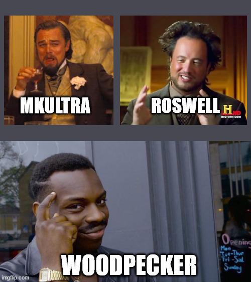Coldwar Logic | MKULTRA; ROSWELL; WOODPECKER | image tagged in memes,roll safe think about it,smart,conspiracy,history | made w/ Imgflip meme maker