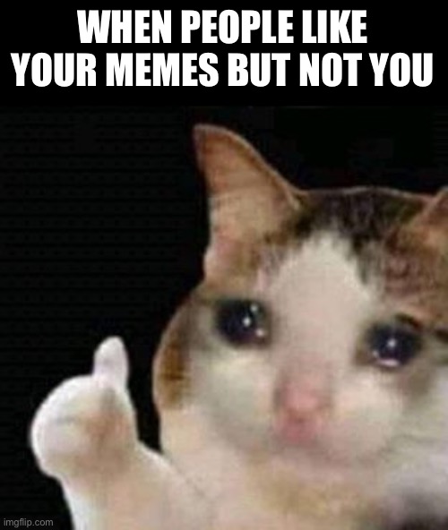 sad thumbs up cat | WHEN PEOPLE LIKE YOUR MEMES BUT NOT YOU | image tagged in sad thumbs up cat | made w/ Imgflip meme maker