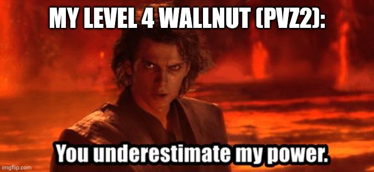 You underestimate my power | MY LEVEL 4 WALLNUT (PVZ2): | image tagged in you underestimate my power | made w/ Imgflip meme maker