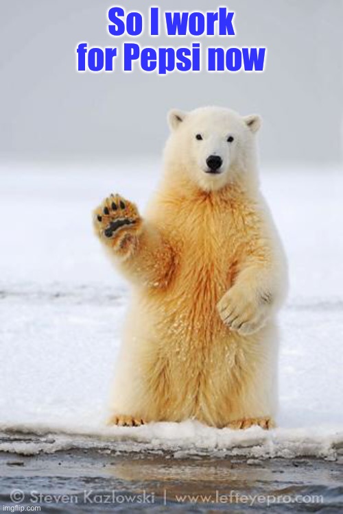 hello polar bear | So I work for Pepsi now | image tagged in hello polar bear | made w/ Imgflip meme maker