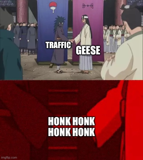 They have similarities |  GEESE; TRAFFIC; HONK HONK HONK HONK | image tagged in naruto handshake meme template,loud,funny memes | made w/ Imgflip meme maker