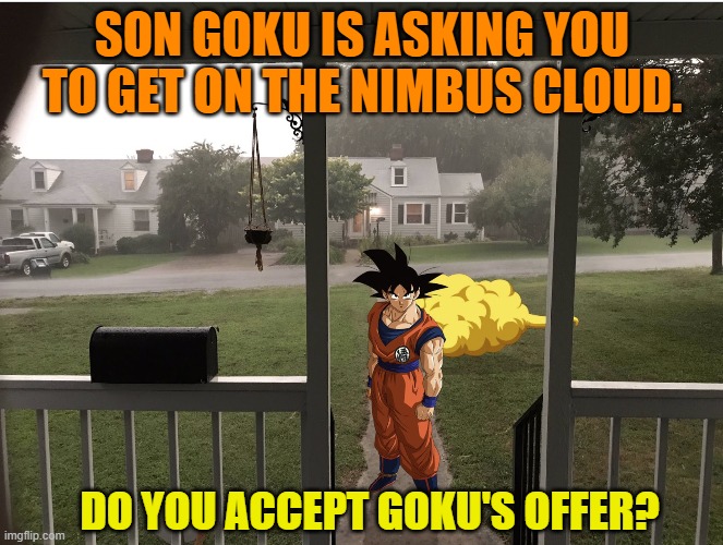 What if you meet Son Goku | SON GOKU IS ASKING YOU TO GET ON THE NIMBUS CLOUD. DO YOU ACCEPT GOKU'S OFFER? | image tagged in dragon ball z | made w/ Imgflip meme maker