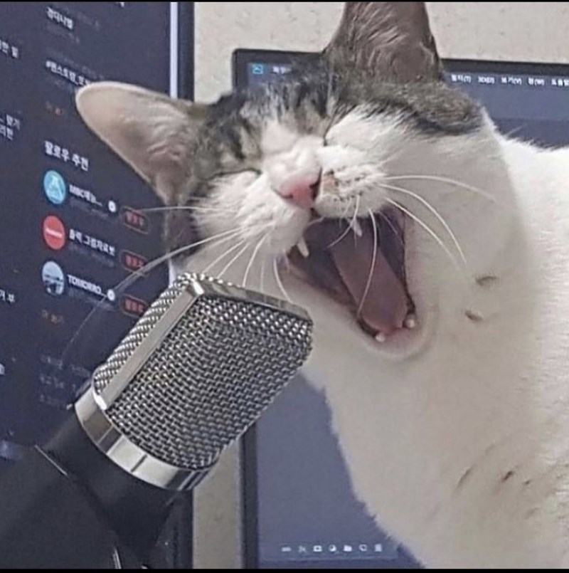 High Quality Cat Singing into Microphone Blank Meme Template