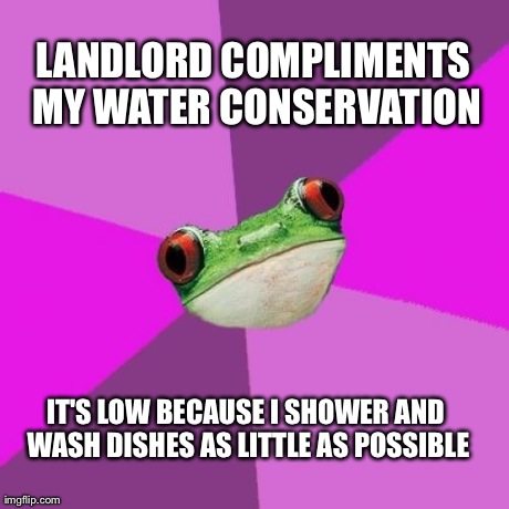 Foul Bachelorette Frog Meme | LANDLORD COMPLIMENTS MY WATER CONSERVATION IT'S LOW BECAUSE I SHOWER AND WASH DISHES AS LITTLE AS POSSIBLE | image tagged in memes,foul bachelorette frog | made w/ Imgflip meme maker