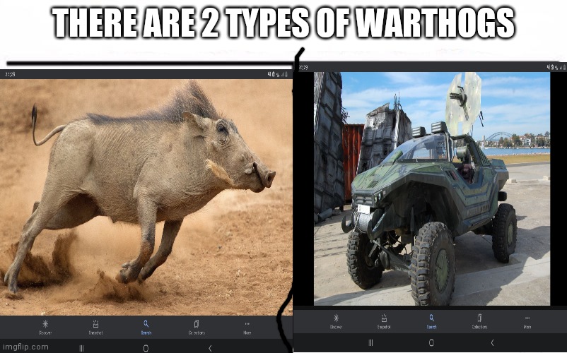 Only Halo fans will get the joke | THERE ARE 2 TYPES OF WARTHOGS | image tagged in halo,reference | made w/ Imgflip meme maker