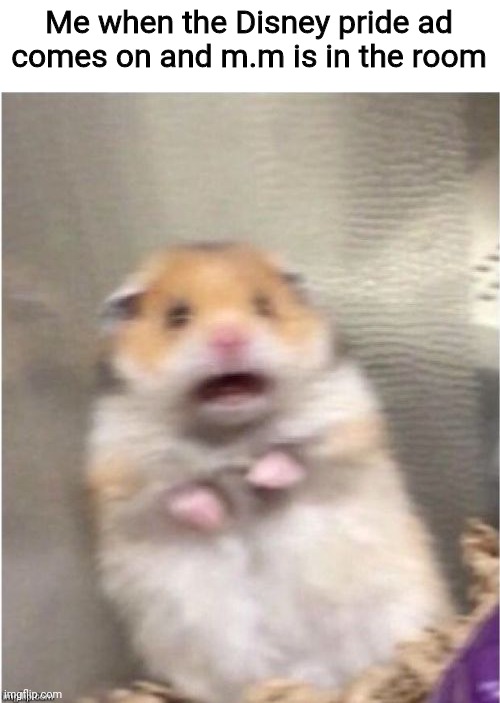 Scared Hamster | Me when the Disney pride ad comes on and m.m is in the room | image tagged in scared hamster | made w/ Imgflip meme maker