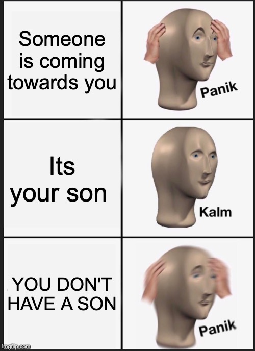 Your son | Someone is coming towards you; Its your son; YOU DON'T HAVE A SON | image tagged in memes,panik kalm panik | made w/ Imgflip meme maker