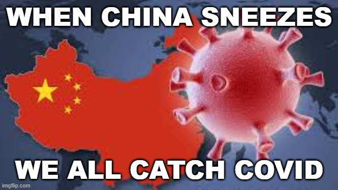 When China sneezes we all catch Covid | WHEN CHINA SNEEZES; WE ALL CATCH COVID | image tagged in made in china | made w/ Imgflip meme maker