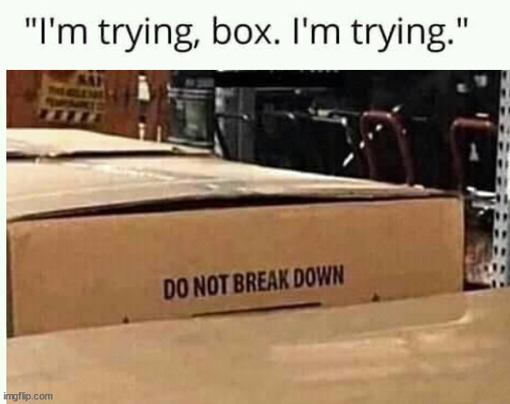 image tagged in eyeroll | made w/ Imgflip meme maker