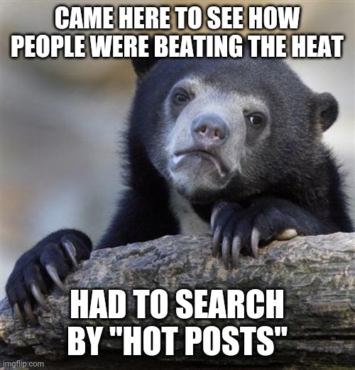 sad bear | CAME HERE TO SEE HOW PEOPLE WERE BEATING THE HEAT; HAD TO SEARCH BY "HOT POSTS" | image tagged in sad bear,Portland | made w/ Imgflip meme maker