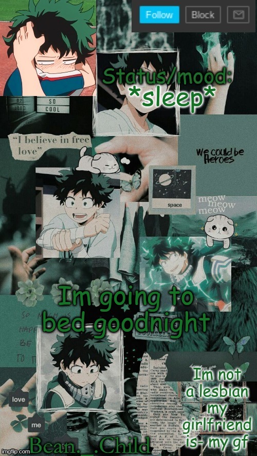 *sleep*; Im going to bed goodnight | image tagged in bean deku temp | made w/ Imgflip meme maker
