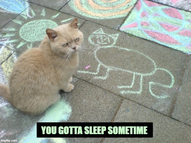 ▬▬ comment specific to meme about drawing of cat displeasing subject | YOU GOTTA SLEEP SOMETIME | image tagged in comment | made w/ Imgflip meme maker