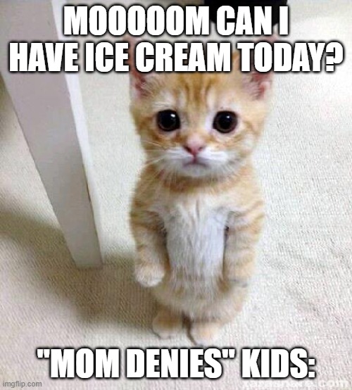 Cute Cat Meme | MOOOOOM CAN I HAVE ICE CREAM TODAY? "MOM DENIES" KIDS: | image tagged in memes,cute cat | made w/ Imgflip meme maker