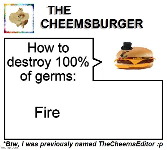 How to destroy 100% of germs:; Fire | image tagged in thecheemseditor thecheemsburger temp 2 | made w/ Imgflip meme maker