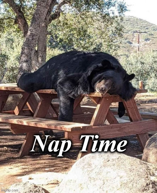 nap tiime | Nap Time | image tagged in nap tiime | made w/ Imgflip meme maker