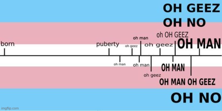 gender be like | image tagged in transgender,mood,gender | made w/ Imgflip meme maker