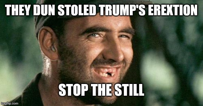 Deliverance HIllbilly |  THEY DUN STOLED TRUMP'S EREXTION; STOP THE STILL | image tagged in deliverance hillbilly | made w/ Imgflip meme maker