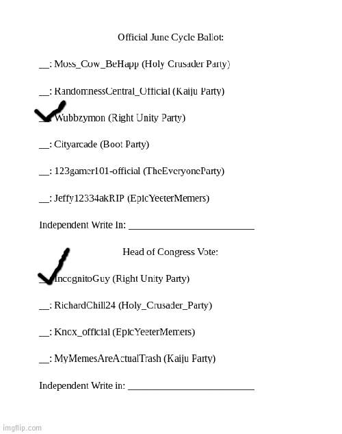 June Election Ballot | image tagged in june election ballot | made w/ Imgflip meme maker