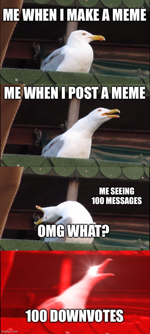 Inhaling Seagull | ME WHEN I MAKE A MEME; ME WHEN I POST A MEME; ME SEEING 100 MESSAGES; OMG WHAT? 100 DOWNVOTES | image tagged in memes,inhaling seagull | made w/ Imgflip meme maker