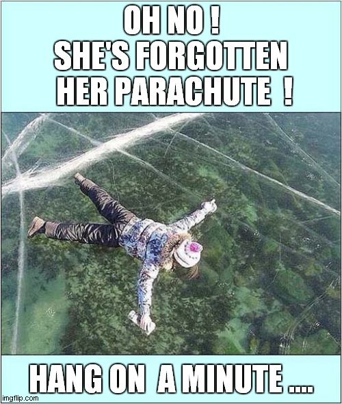 Suspicious 'Sky Diver' ? |  OH NO !  
SHE'S FORGOTTEN  HER PARACHUTE  ! HANG ON  A MINUTE .... | image tagged in fun,skydiving,suspicious | made w/ Imgflip meme maker