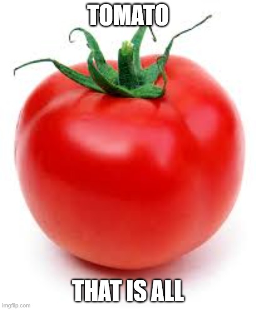 tomato | TOMATO; THAT IS ALL | image tagged in tomato | made w/ Imgflip meme maker