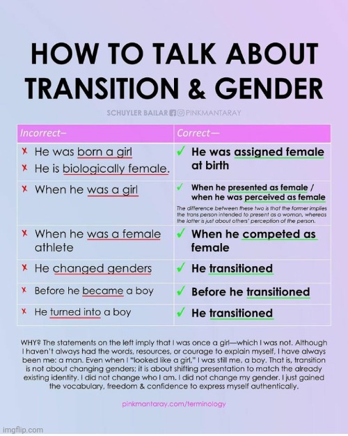 I find that even fellow LGBTQ+ make some of these mistakes. But we all have to learn at one poijt. | made w/ Imgflip meme maker