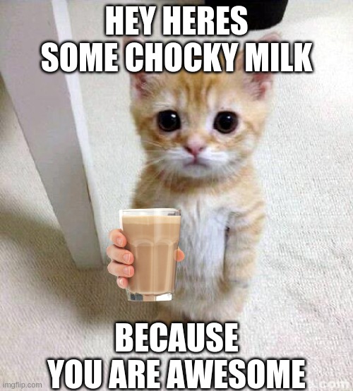 Cute Cat | HEY HERES SOME CHOCKY MILK; BECAUSE YOU ARE AWESOME | image tagged in memes,cute cat | made w/ Imgflip meme maker