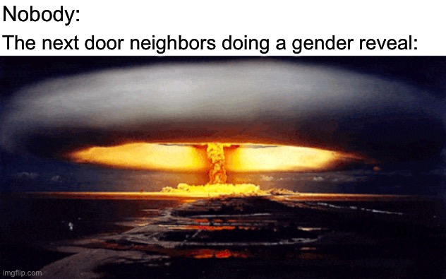 Minimalism is optimal | Nobody:; The next door neighbors doing a gender reveal: | made w/ Imgflip meme maker