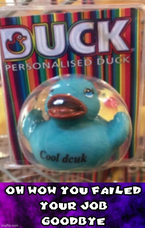 Cool dcuk | image tagged in duck,you had one job,funny,memes,lol | made w/ Imgflip meme maker