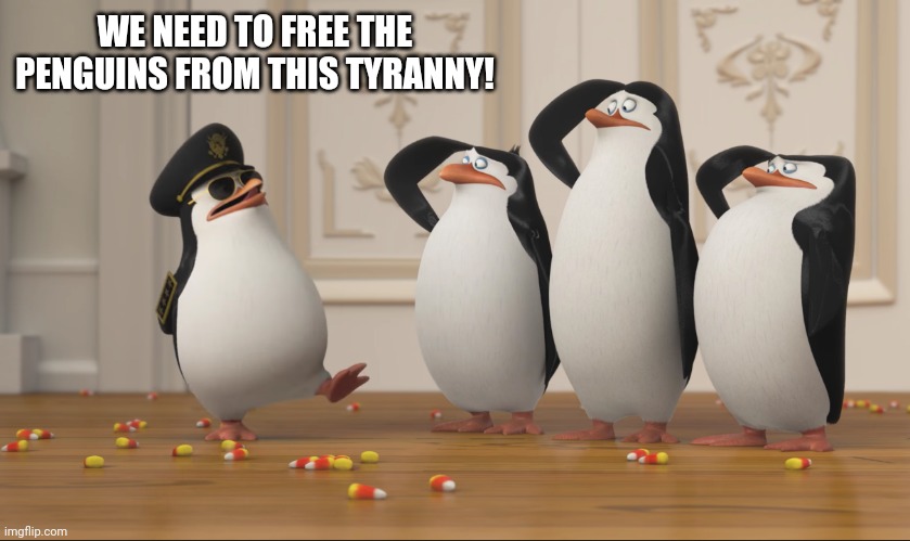 Saluting skipper | WE NEED TO FREE THE PENGUINS FROM THIS TYRANNY! | image tagged in saluting skipper | made w/ Imgflip meme maker