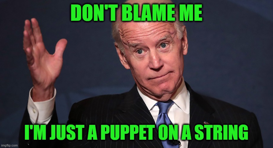 It's Out of His Control | DON'T BLAME ME; I'M JUST A PUPPET ON A STRING | image tagged in joe biden,puppet | made w/ Imgflip meme maker