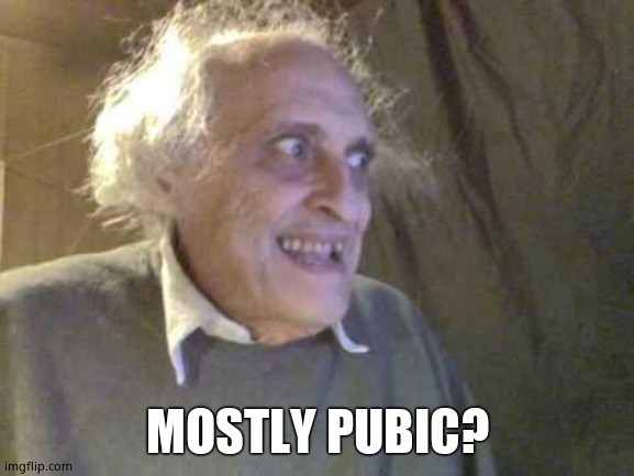 Old Pervert | MOSTLY PUBIC? | image tagged in old pervert | made w/ Imgflip meme maker