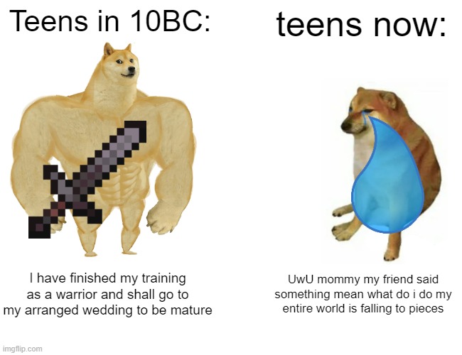 A cool meme | Teens in 10BC:; teens now:; I have finished my training as a warrior and shall go to my arranged wedding to be mature; UwU mommy my friend said something mean what do i do my entire world is falling to pieces | image tagged in memes,buff doge vs cheems | made w/ Imgflip meme maker