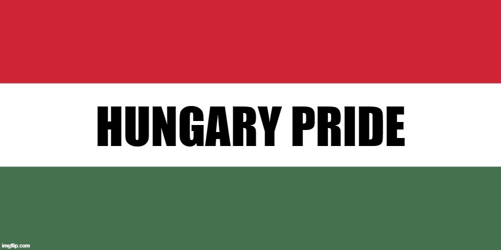 New pride flag??? =P | image tagged in hungary,pride,issues,support,lgbt,gay | made w/ Imgflip meme maker