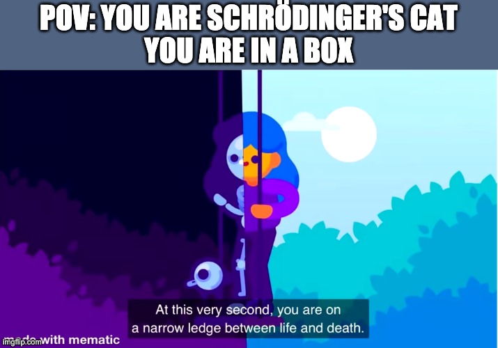 Life and death | POV: YOU ARE SCHRÖDINGER'S CAT
YOU ARE IN A BOX | image tagged in life and death,meme,cat,schrodinger's cat | made w/ Imgflip meme maker